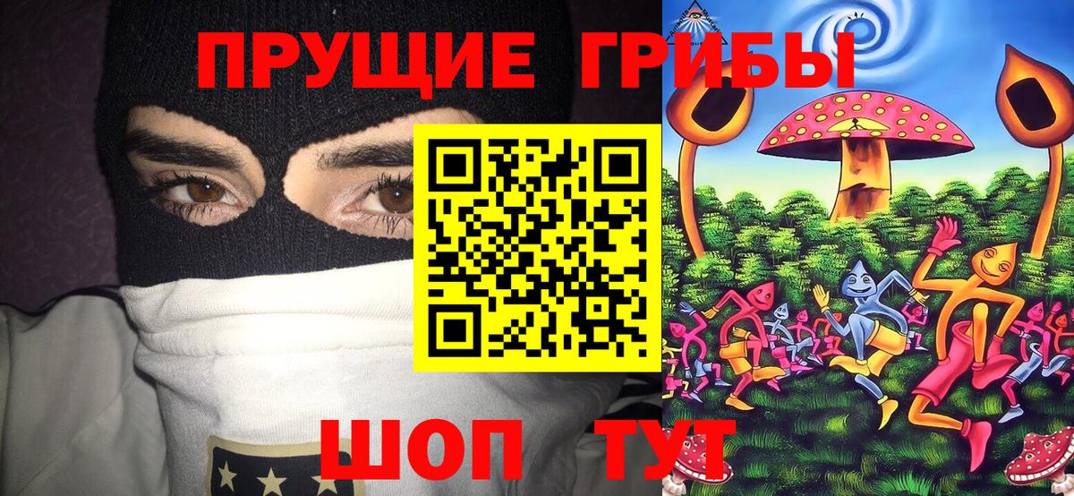 Галлюциногенные грибы ЛСД  Вход с VPN  даркнет сайт  Кандалакша 